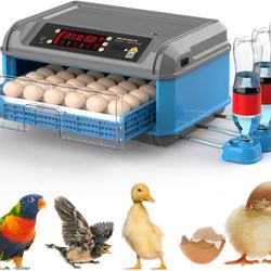 New in a sealed box Automatic 16-24 Chicken Egg Incubator & Turkey Incubators For Hatching Eggs Farm Poultry Egg Incubator With Automatic Egg Turning 