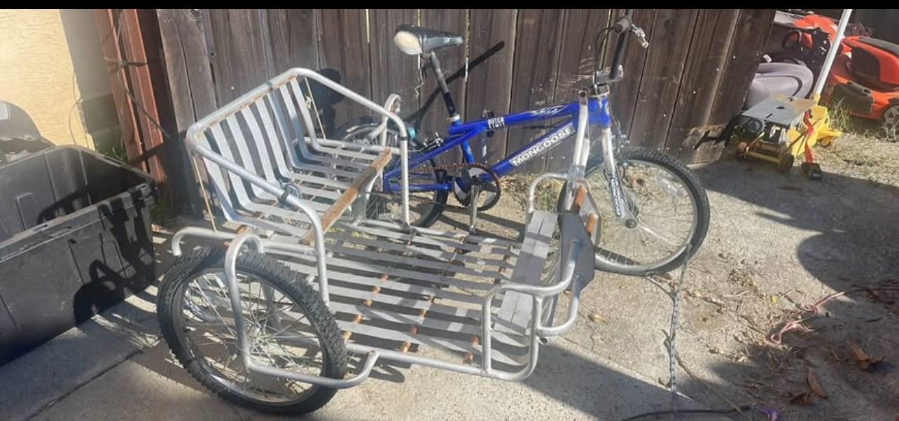 Bicycle side car