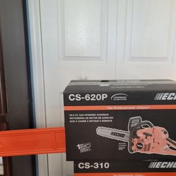 Echo Chainsaw 