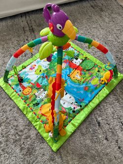 Baby Gym Play Mat