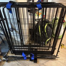 Dog Fence 