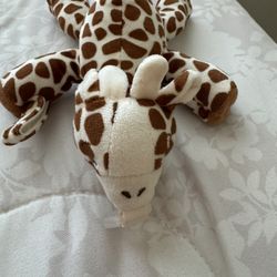 Avent Pacifier Holder