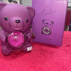 Light-Up Teddy Bear with Rose Inside