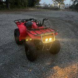 Yamaha timberwolf 250