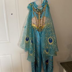 Princess Jasmin Costume