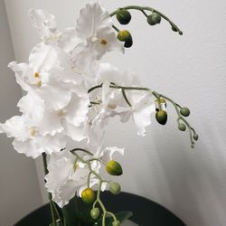  Fake plant 