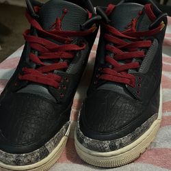 Jordan 3 Retro SE Animal Instinct