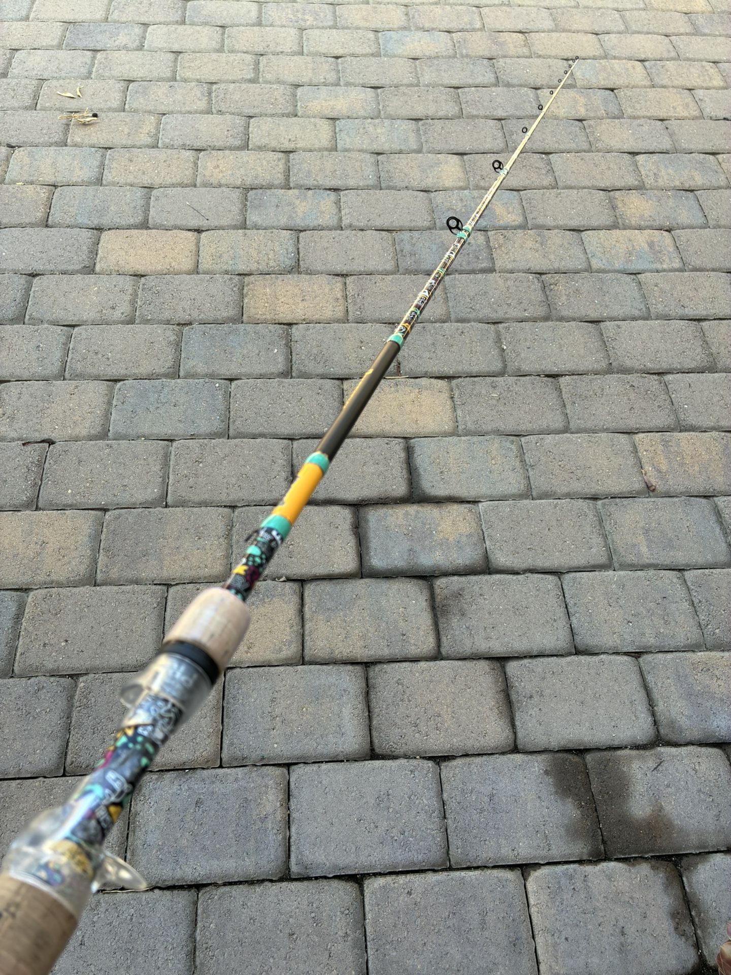 Profishiency Fishing Rod