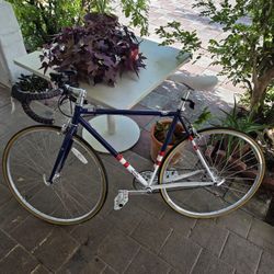 State 4130 Bike (Assembled And Maintained)