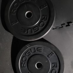 Rogue  Bumper Weights