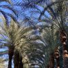 AZ Lover