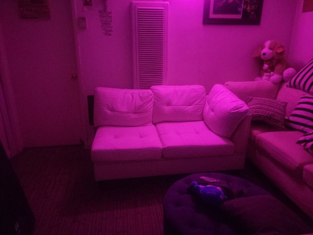 2 Seater Leather Couch 