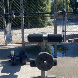 🏋️ Weight Bench with Barbell & Dumbbells 