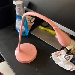 Pink Computer Lamp