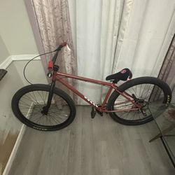 29 Inch Bomma