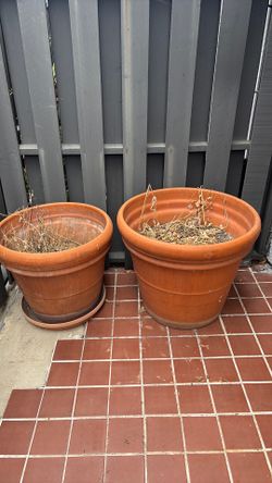 Large Planters