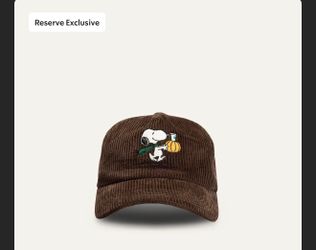 Starbucks X Snoopy
