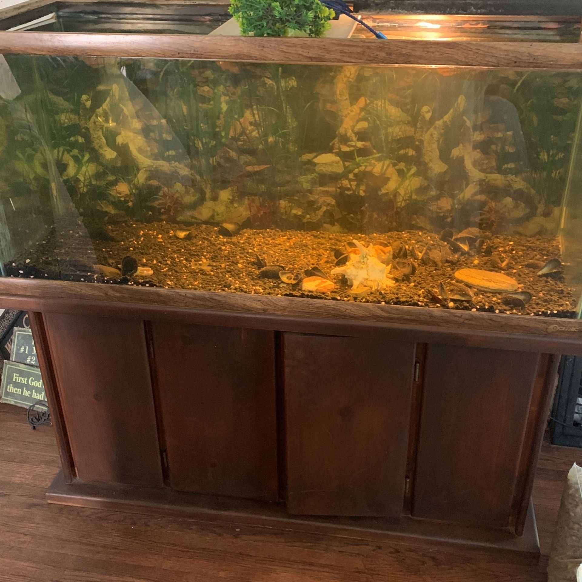 90 Gallon Fish Tank