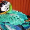 Jhon