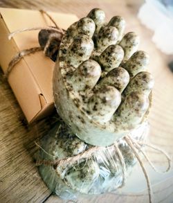 Peppermint Soap 🫧