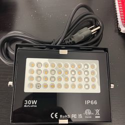 Led Flood Light