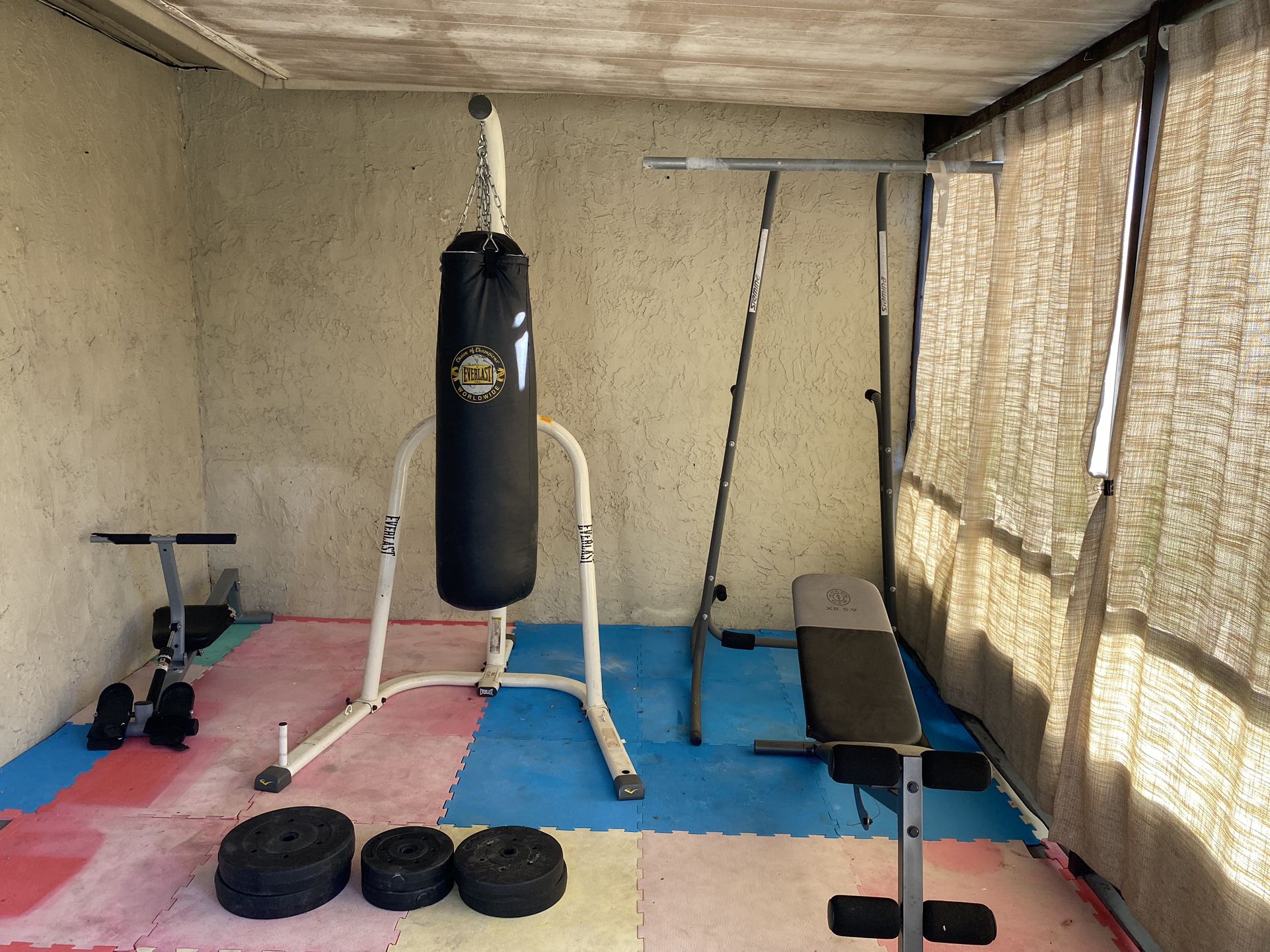 Punching Bag  And  Small Gym