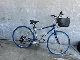 Giant bicycle
