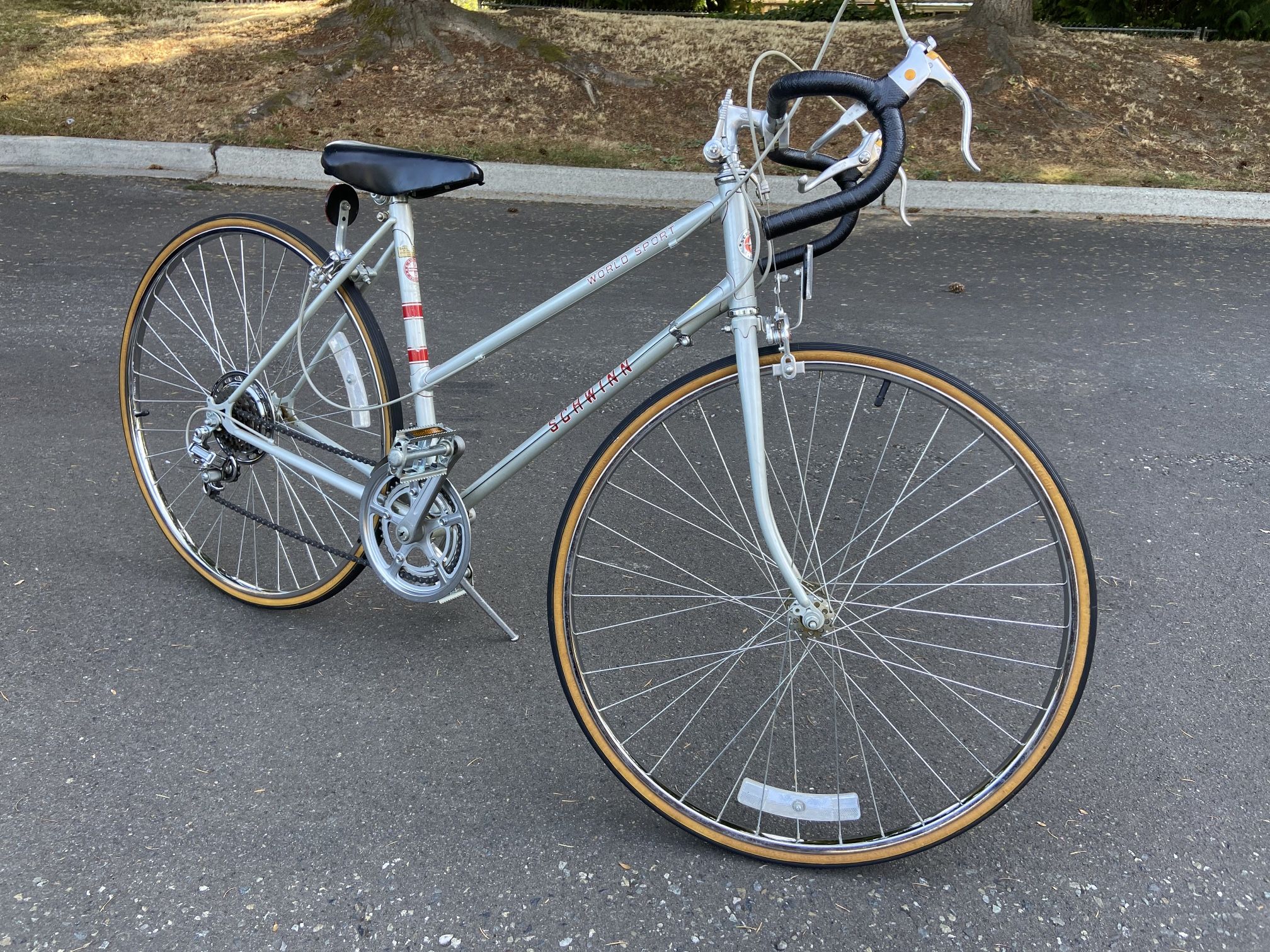 Schwinn World Sport 10 Speed Road Bike