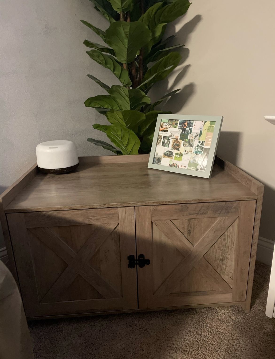 Litter Box Enclosure