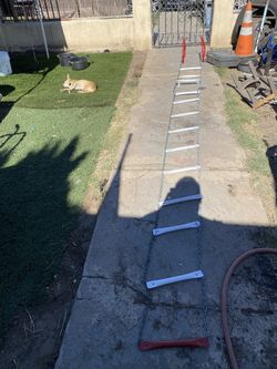 2~Story/Fire Escape Ladder