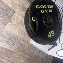 2-45 Pound Weights