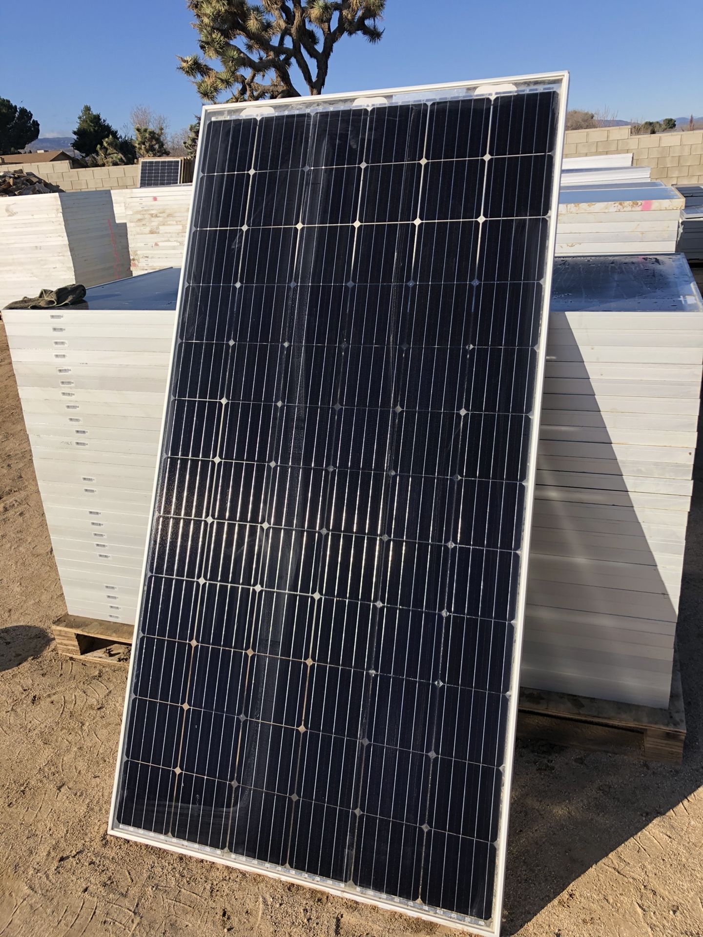 Longi 360 watt mono bifacial solar panels no damage for Sale in Palmdale, CA OfferUp