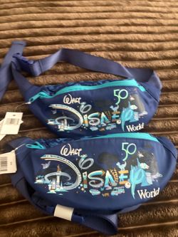 Disney Pouch bags