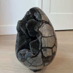 Black Septarian Dragon Geode Egg Gemstone Crystal 💎✨