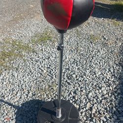 Kids Adjustable Boxing 🥊 