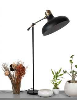 Black and Brass Adjustable Desk Lamp