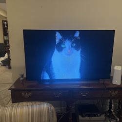 LG OLED C1 48in 