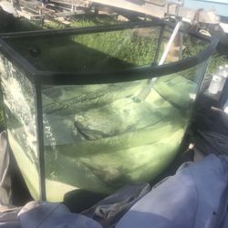 40 Gallon Bow Front Fish tank 