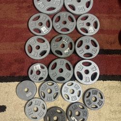 Weight Plates – 80 lbs Total