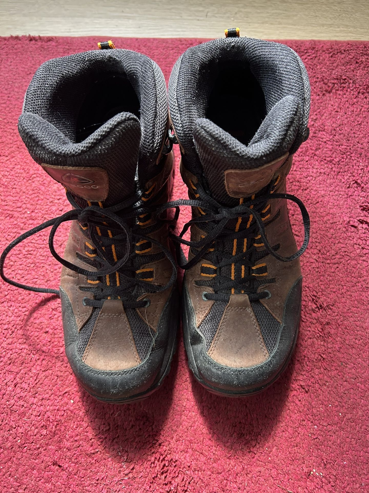 Ecco Hiking Boots