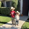 Castro &Sons Equine Rescue 