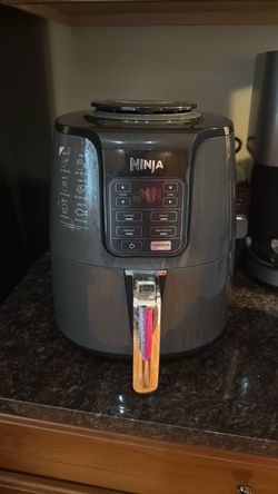Ninja Air Fryer Model AF101