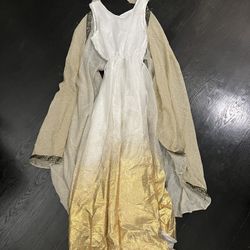 Girls Gown Costume (Size 12-14)