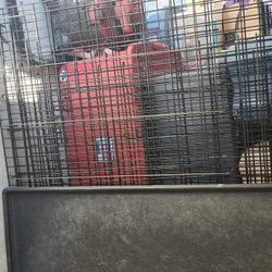 Dog Crate 54" XXL Double Door