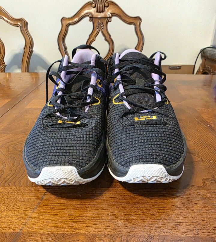 Nike LeBron Witness 7