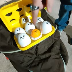 $5! Cute Egg Game For 18 Mons. To 3 Years!