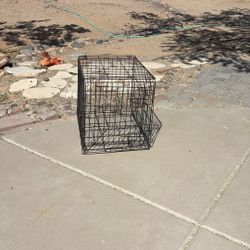 Dog Cage For $20