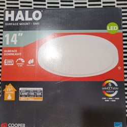 HALO 14 in Surface Mount Ceiling Light Fixtures- Round Flat 5CCT