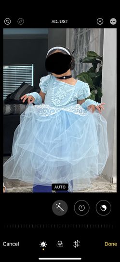 Cinderella Costume 
