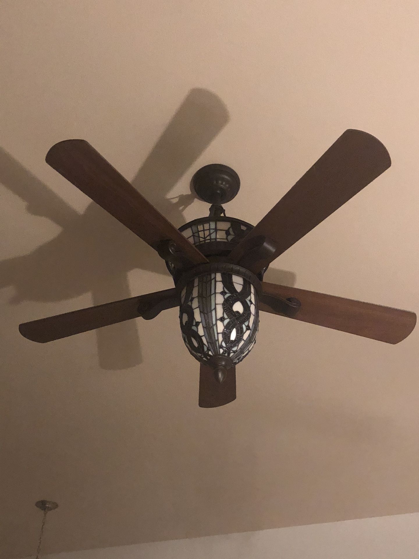 Ceiling fan